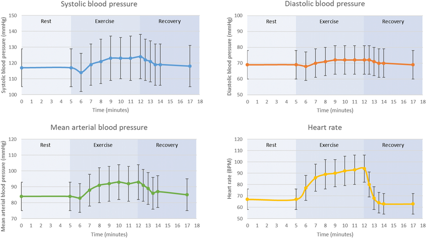 Effect of exercise on blood pressure and heart rate during rest, exercise, and recovery phases