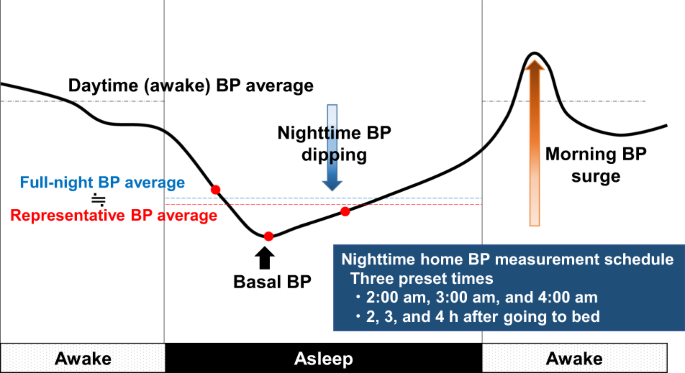 Blood pressure pattern over 24 hours showing daytime average, nighttime dipping, basal BP, and morning surge