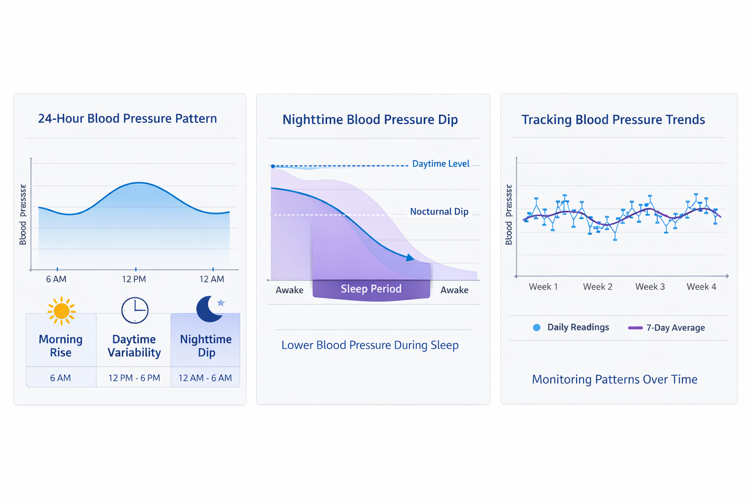 Infographic showing 24-hour blood pressure patterns including the morning surge, daytime variability, and nighttime dip